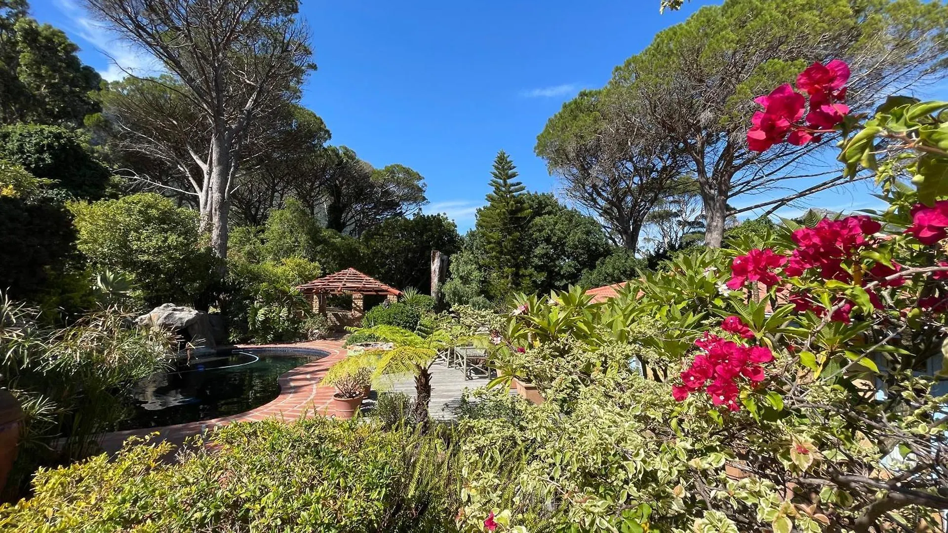 Unique Hout Bay Houseヴィラ 別荘